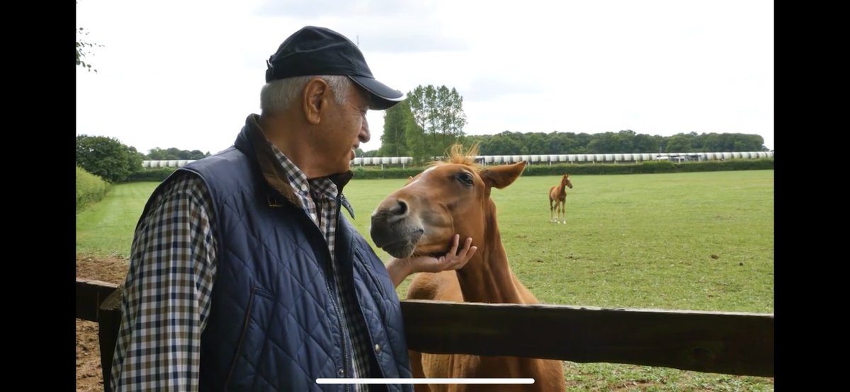 Mehmet Kurt/ Kingwood Stud
"Bir at, insanların kendileriyle ilgili hayallerinin bir yansımasıdır...” P. Brown