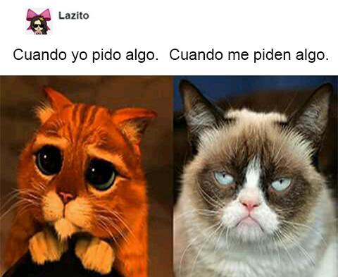 Laziitoo's tweet photo. https://t.co/Cq00NaOrub