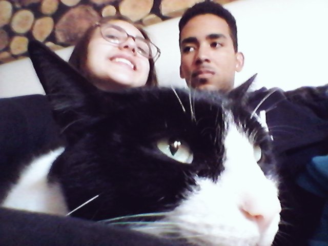 _Chicambi's tweet photo. Os meus dois gatinhos juntos ♥

Ass: @sahgarte https://t.co/Vom6lvkPJA
