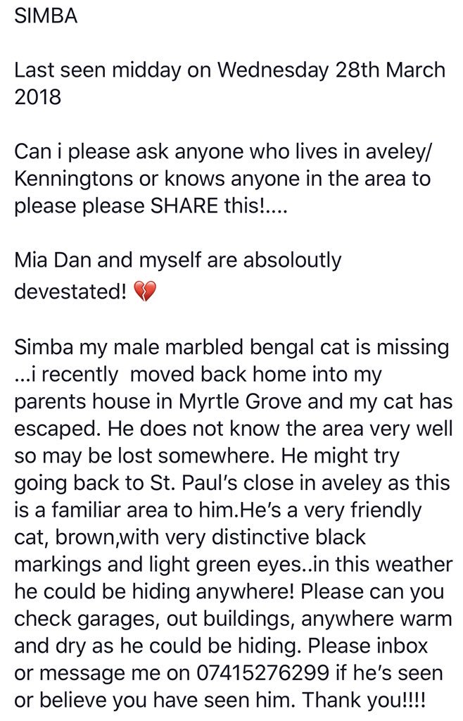 Simba is missing in Aveley, #Essex PLEASE #retweet and help us find him! #MissingCatsUK  #cats #CatsOfTwitter #Lostcat #lostcats #Rescue #LostAndFound