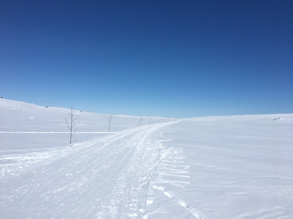 It has been the most perfect Easter break ☀️☀️🐣. Charged up after fantastic skiing both downhill and cross-country. 👍