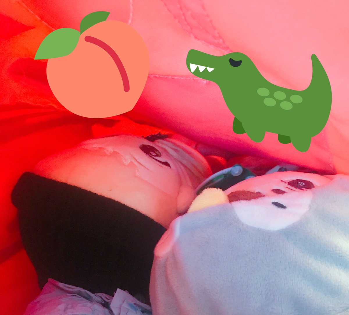 Babyleechan_'s tweet photo. วันนี้ไปเที่ยวกับพี่บูคับ พี่บูตูดใหญ่ กับน้องไดโนเสาร์ ดีโน่เองคับ >~< #babyleechan #kpopdoll #dino #vernon #hansol #seventeen #ตลาดนัดสวนเเครอท https://t.co/SBc0EX84tv