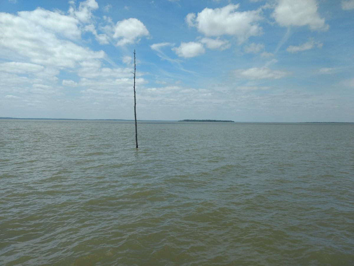 Jake Mowrer tweet media