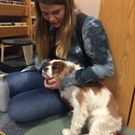 Photo by Rescue Animal Awareness Week @ Naz (@RescuesAtNaz)