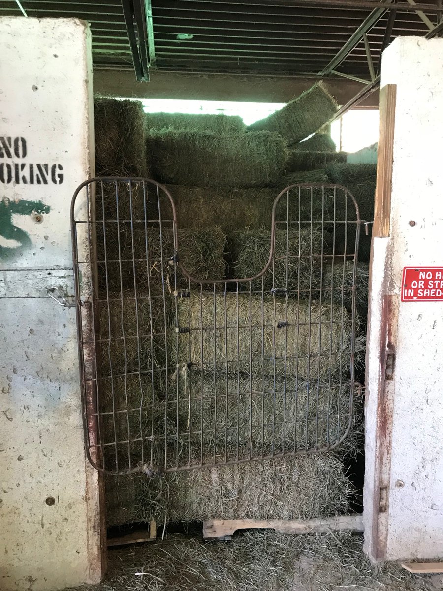 hazelpark's tweet photo. Stall prep is underway! Horses will be here in just a few short days. LOVE if your excited to see the Thoroughbreds return.
Join us for Derby weekend. Two nights of exciting horse racing. May 4th is Opening night at HP, and the Oaks. May 5th is the grand event, the Derby. https://t.co/cmZRwIyMoH