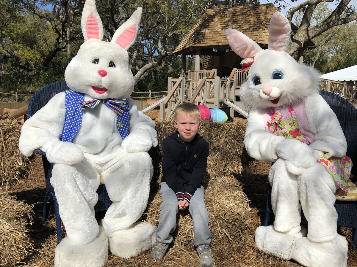 DeLana Harvick tweet media