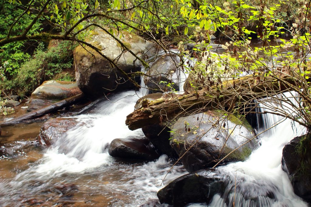 AbiRazu's tweet photo. #justletitflow #NaturePhotography #naturelovers https://t.co/DJDJgQzWXe