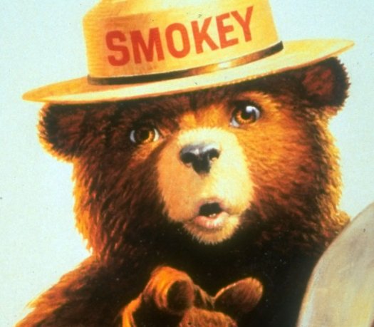 Image result for smokey the bear poster