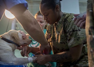 #JustPosted Army Provides Animal Care, Surgeries in Yap During Pacific Partnership 2018 - defense.gov/News/Article/A…