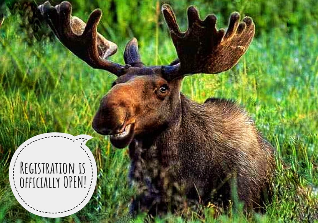 SwampDonkeyAR's tweet photo. Have you "HERD"?!?! Registration is  officially open for The 2018 Nygard Swamp Donkey Adventure Race!  Sept15th 2018 we're hitting the trails of Falcon Lake! @nygardslims  @SwampDonkeyAR #Nygard #Nygarding #adventure #canoeing #biking #mtb #navigating #trekking #hiking https://t.co/xHmI9CYD9U