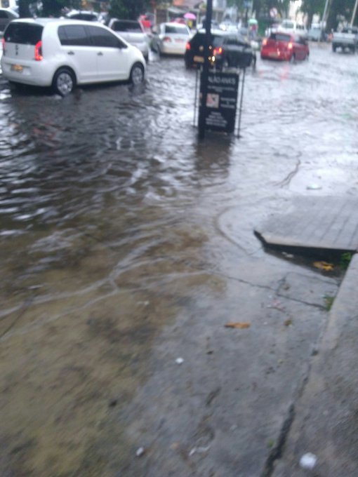 Ver imagem no Twitter