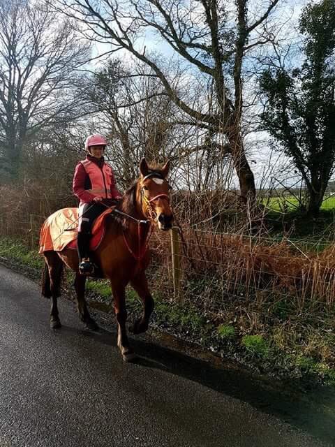 JoannaHolland80's tweet photo. Few pics ;) Finally no rain 🎉🎉🎉#eveninghack #hack1000miles https://t.co/xnbo7P2S8o