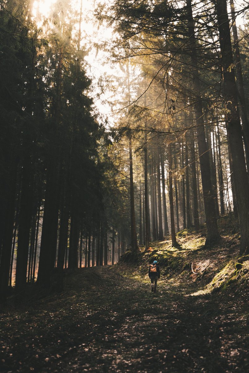 LukasLitt's tweet photo. Mein Tag in 4 Bildern! 😊

📷Folgt mir auf Instagram: Luzudemkas

#harz #germany https://t.co/rDgadgjYGT