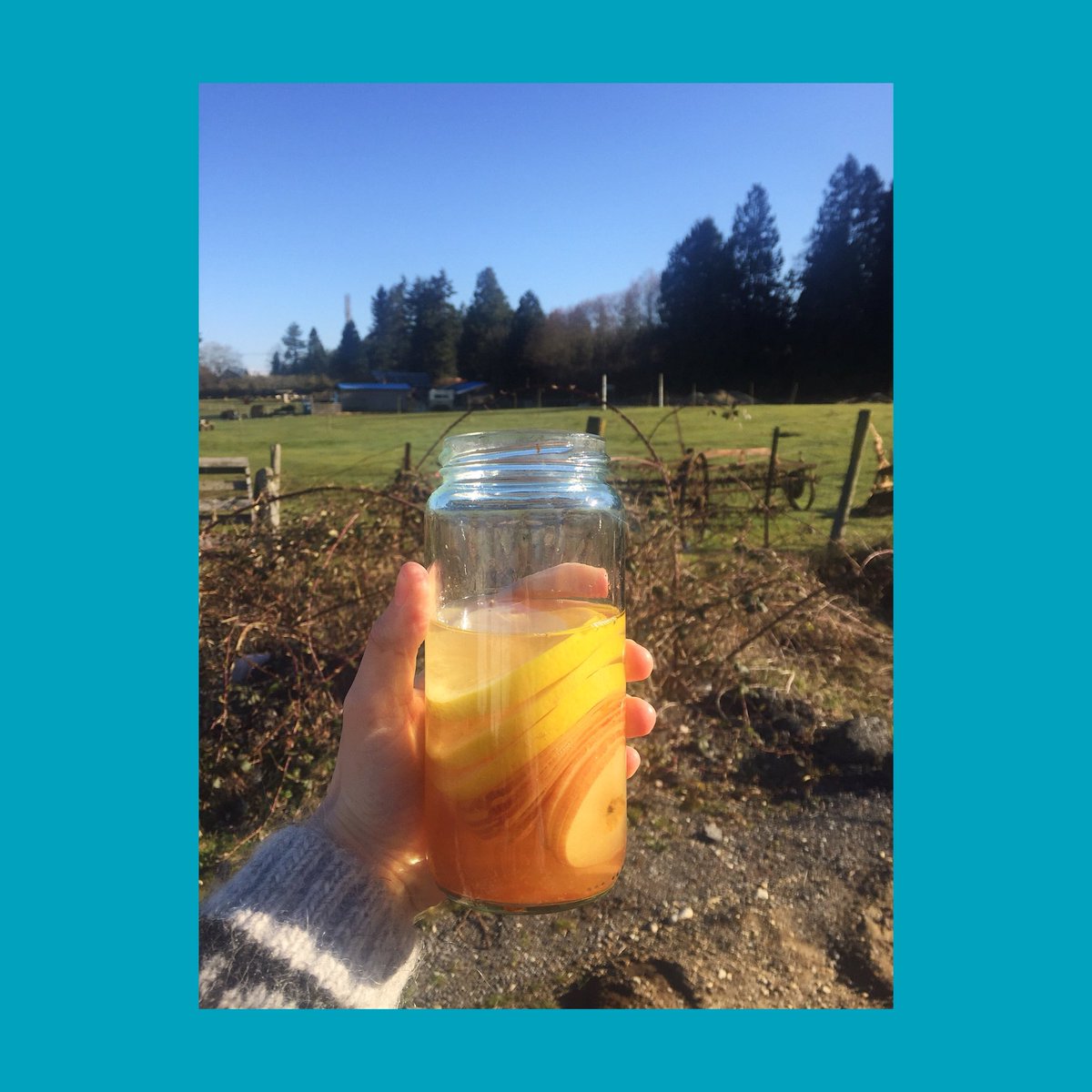 The secret to 13 seasons. We Juice together. Thank you <a href="/melujuice/">MELU JUICE</a> for hooking us up on #supernatural <a href="/Trishymakeup/">Trisha Porter</a> <a href="/jarpad/">Jared Padalecki</a> <a href="/JensenAckles/">Jensen Ackles</a> <a href="/mishacollins/">Misha Collins</a> <a href="/dicksp8jr/">Richard Speight, Jr.</a> and 11 more of us.