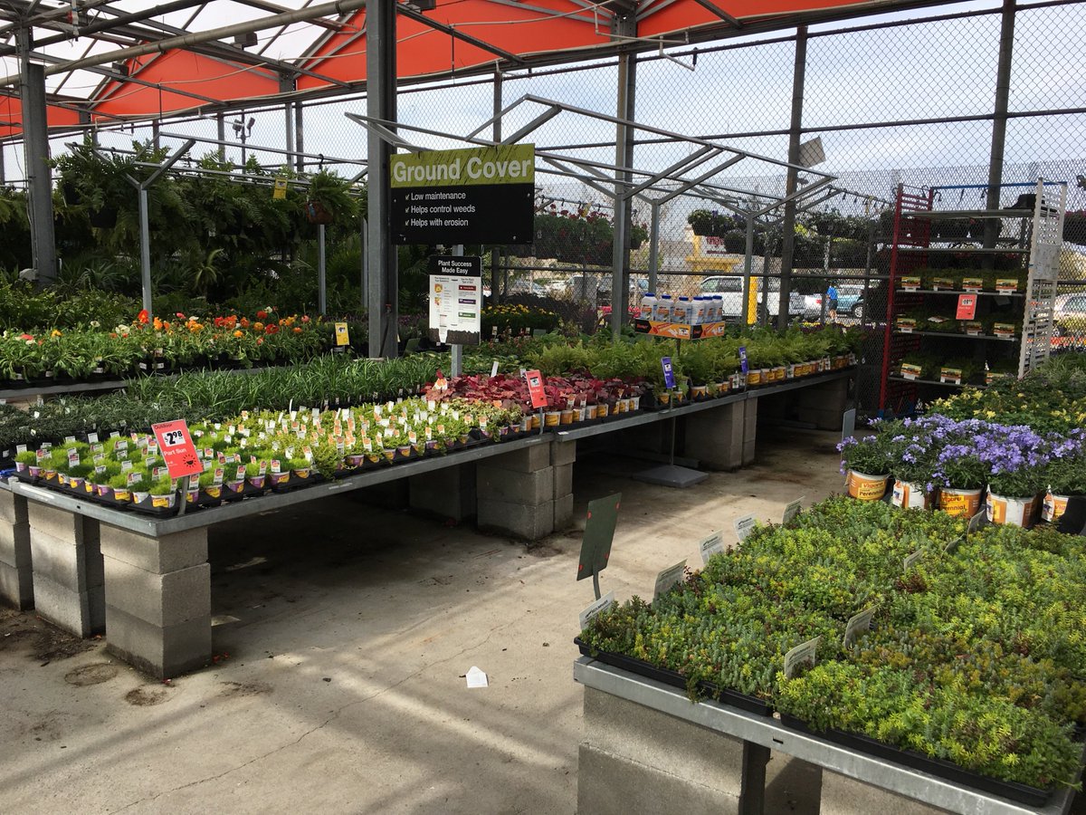 THD 1116 in Myrtle Beach standing tall! #replenished #🐝🦋🐣Spring is upon us! Enjoy each day in the garden #growwithit @JulieWelsh12 @RaymondCiorra @JanelleBishop15 @JimSimmonsHD @PJPeterson5