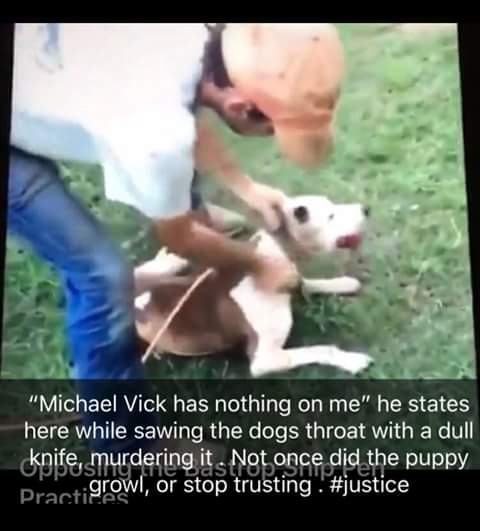 CyntWhite's tweet image. . @LouisianaGov. It is not ok to torture and kill animals or pose w dead animals like this  We want justice for #Justice the dog and all the poor horses who are sick, lame, abused, &amp;amp; dead at Bastrop #killpen. Bastrop Ship pen.