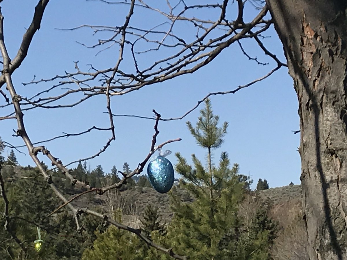 anyssajane's tweet photo. Thanks for the follow #Whistler #Twitterazzi @BCrelocations @coastmtnbrewing @GAYWhistler @MountainFM @RMWhistler @BlairKaplanPR @WhatLynnLoves @BettieKrocker #eastermonday #followme https://t.co/nk2GKeEHbi
