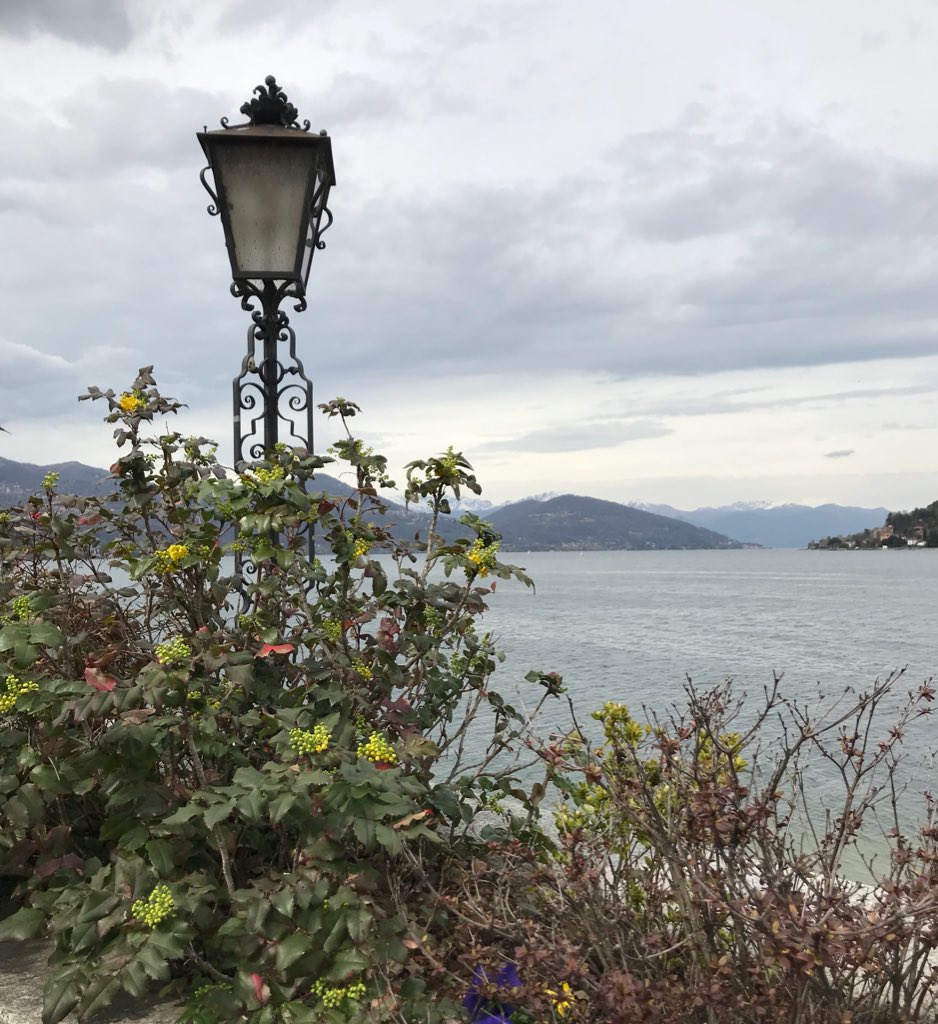giusicolla's tweet photo. Il lago 🌺 The lake 🌸 #dueparole #sblab17 #stories #storiebrevi #StorieMaledette https://t.co/7pfUg8INLJ