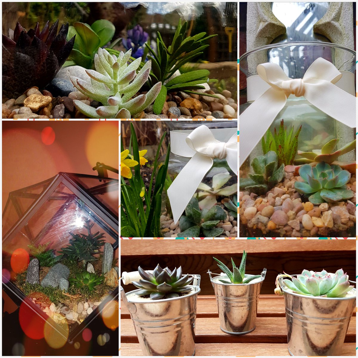 SmallByDesign1's tweet photo. Small &amp; relatively new business making personalised terrariums, also starting a bit of pyrography as an extra. #terrarium #succulents #pyrography #northamptonuk  #CreativeBizHour https://t.co/s0C4mVkrt1