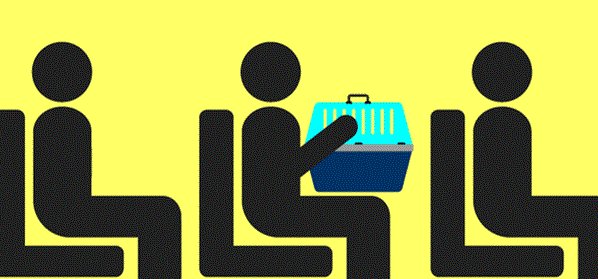 Small pets now allowed on OC Transpo buses  ottawamatters.com/local-news/sma… https://t.co/2njEhUCSPx