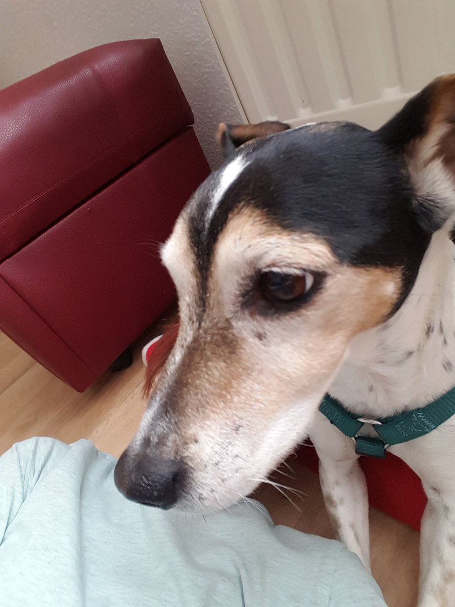 HdFirefly's tweet photo. Sie denkt sich auch nur so:" Lass mich in Ruhe!!" 😂😂 https://t.co/JVVKALx5QA