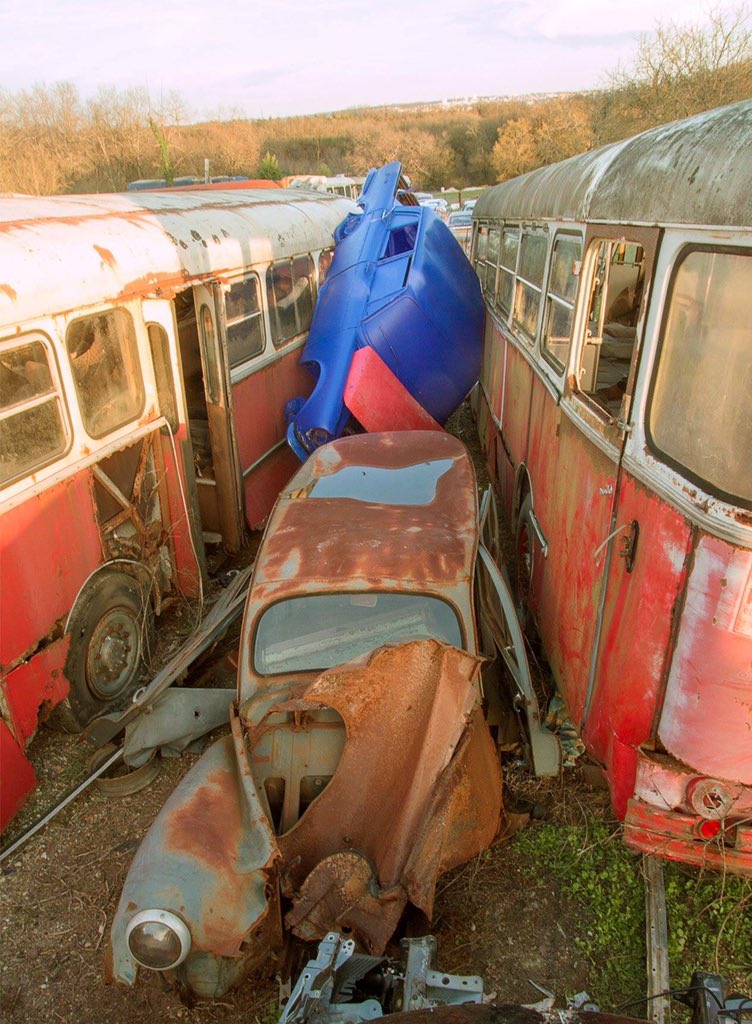 SC gallery tweet media