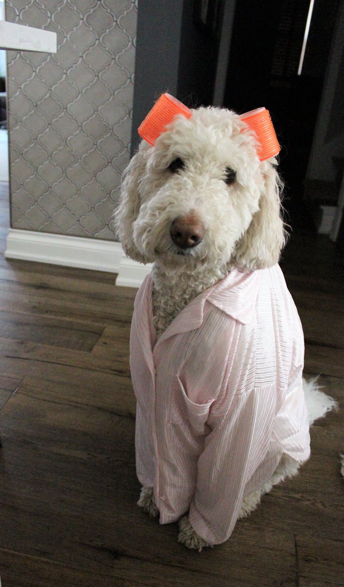 DoodleNessa's tweet image. I'm going to #Walmart, do you need anything?