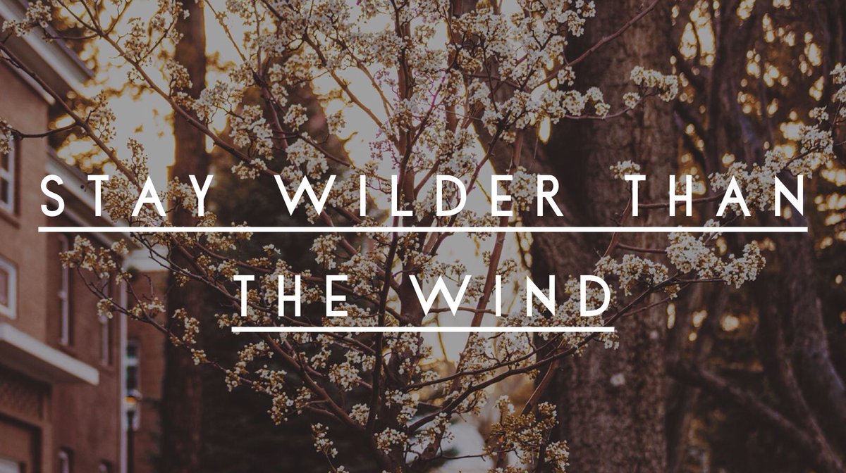 Embrace the winds of change 🌬 #FlagstaffSpring