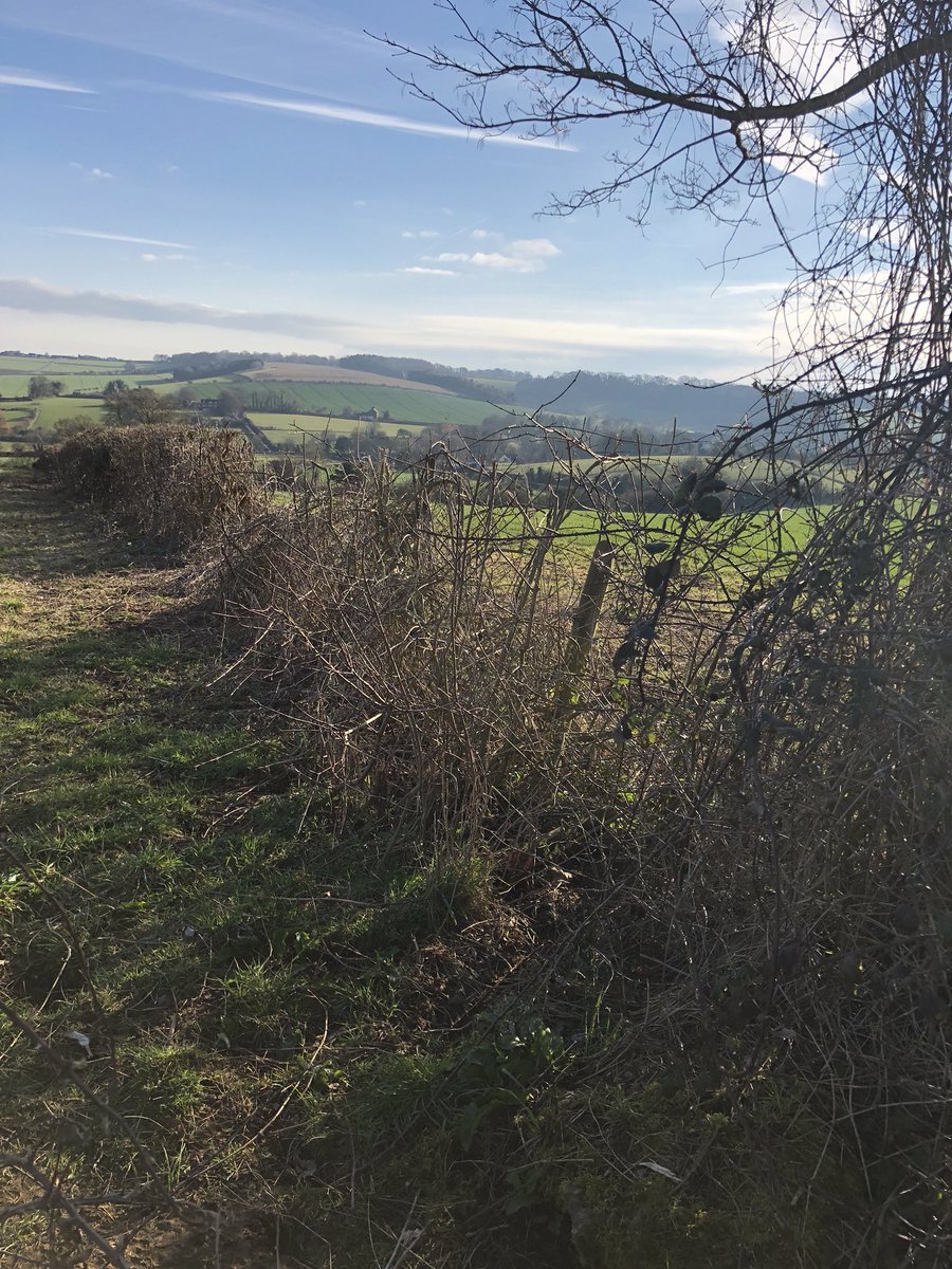 GregBarden's tweet photo. Not all exploring involves an independent....actually as I did end up in @BeckfordArms post an Easter weekend walk that’s a lie. #chiefexplorer #pixieexplorer https://t.co/mUqdjxtPdM