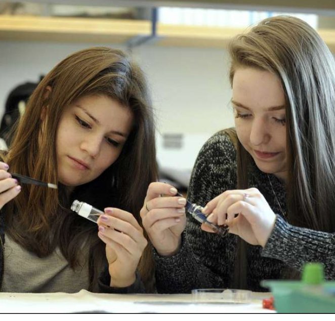 ChickTechOC's tweet photo. "But while women represent the majority of students in life sciences, they are still underrepresented in most of the other STEM fields: science, technology, engineering and mathematics." https://t.co/oKg1Yj9tZx #ChickTechOC #womenintech https://t.co/M3J8uDfUNw