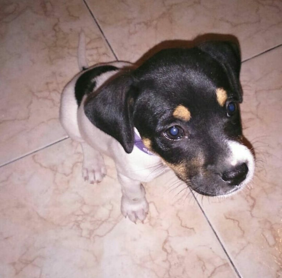 Davidbuitrago99's tweet photo. Te voy a extrañar 😢 https://t.co/zXOLBc36Q9