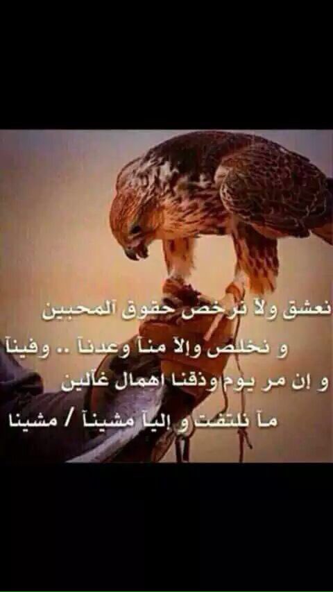 الشوق ؛ صووبہ ذبحني و انا حيء
​​​​​​   من واحد ففديتء حبہ ، و روحہ !
​​​​​​   من دونہ الدنيا في عيني ولا شيء
​​​​​​   اموت في ضحكہ ولبى مزوحہ (=| ،