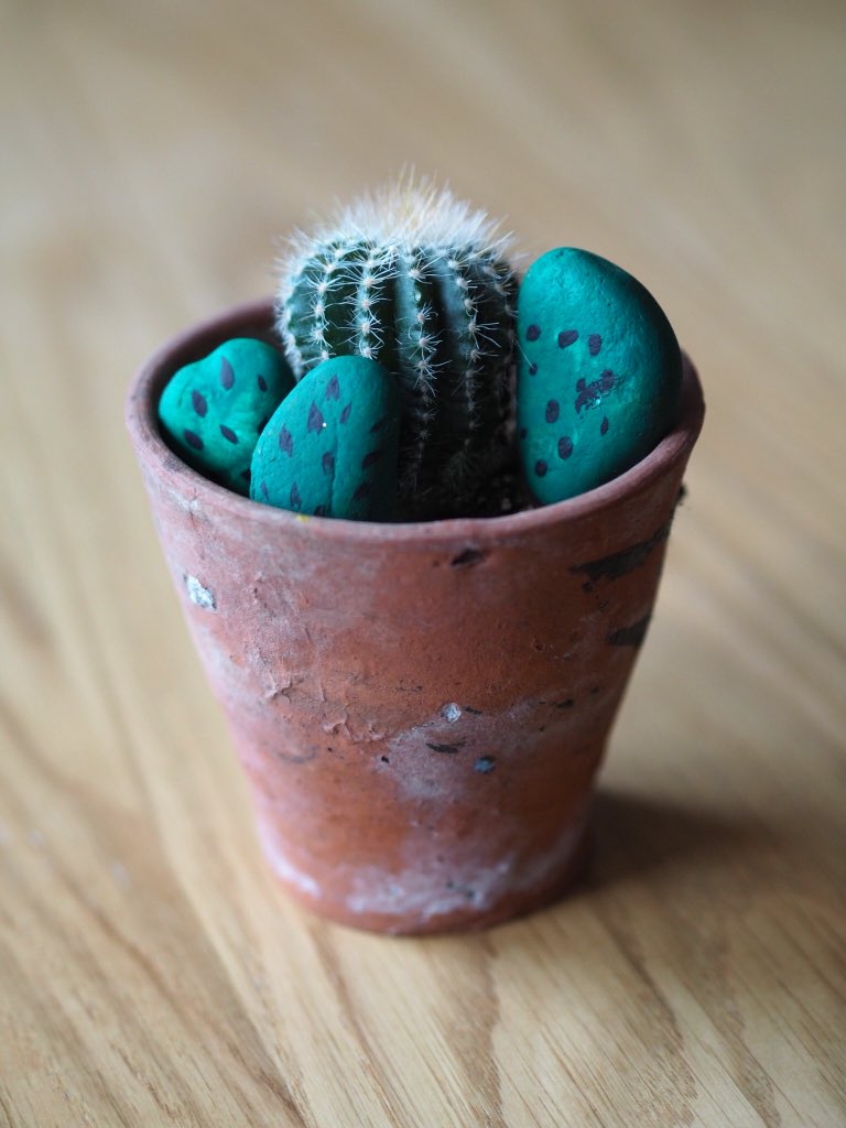 My Model Mummy On Twitter Painted Cactus Stones Look So Sweet Nestled In With This Succulent Thought We Would Put A Twist On Easter Crafts And Make Use Of Pebbles From The