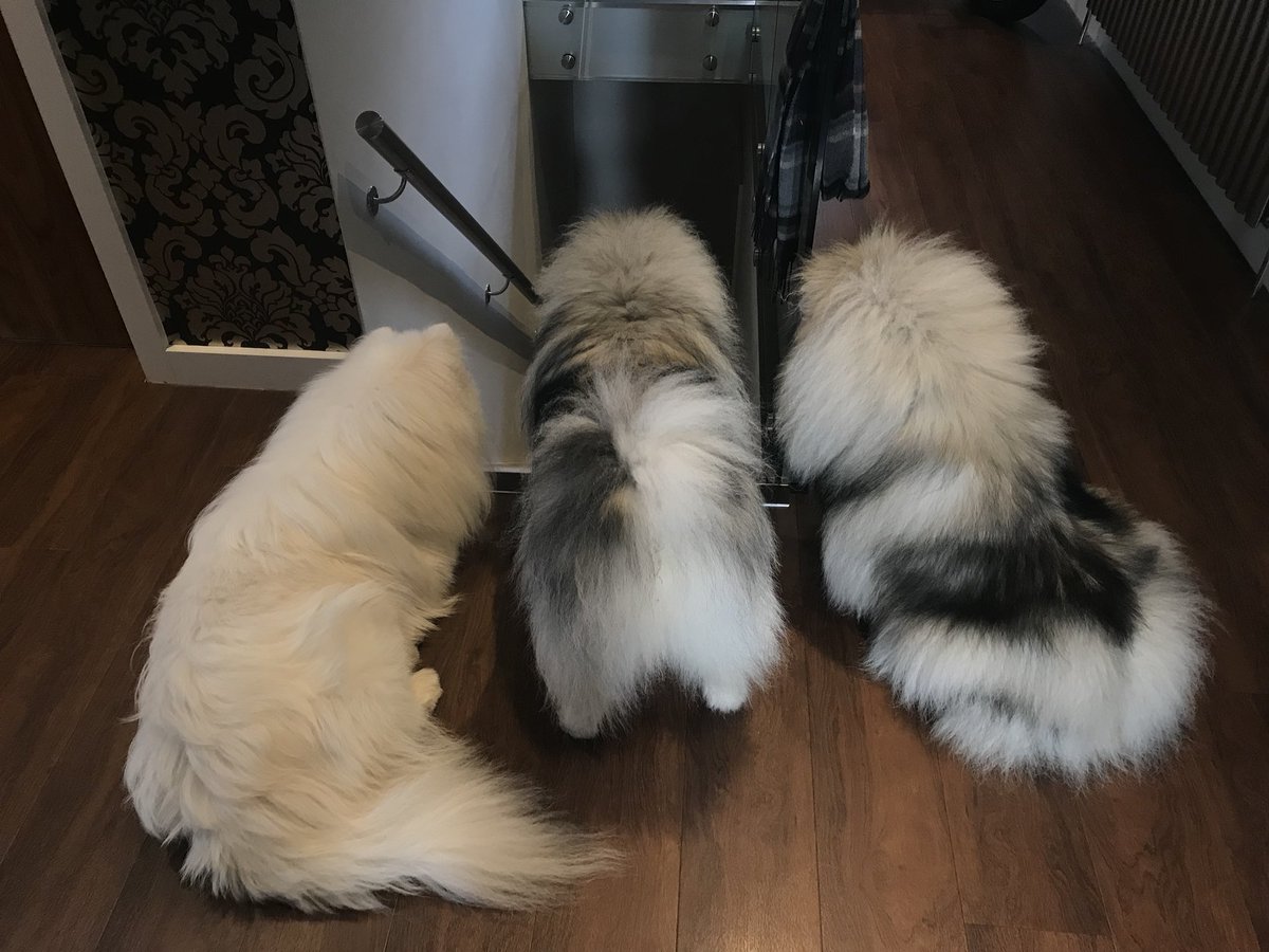 Waiting for their #Mummy 😊