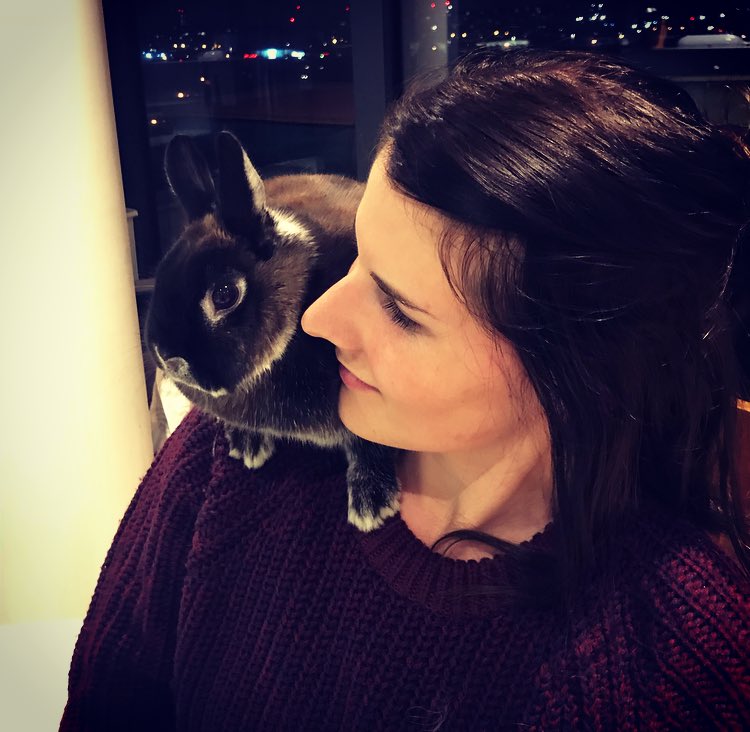 EmRAshworth's tweet photo. Bobby was fed up of being a rabbit today and instead decided to be a parrot. #easterbunny #easterparrot https://t.co/40ZBiWcACn