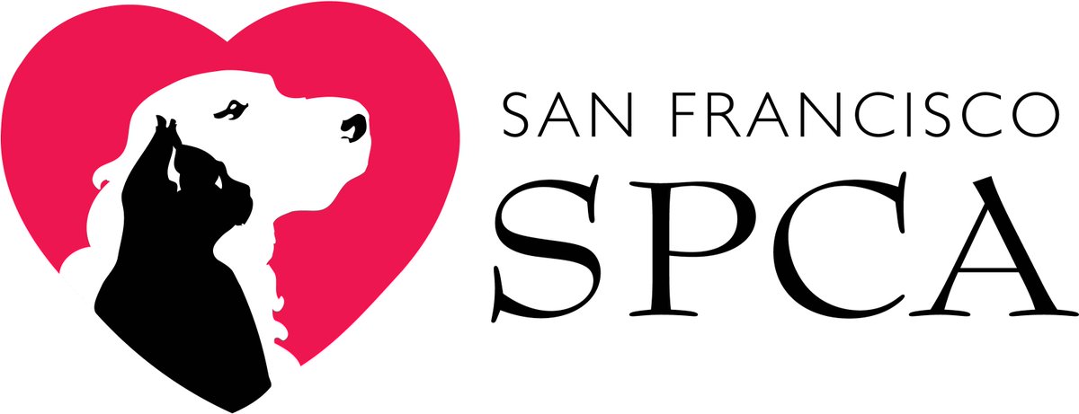 FOOTtours's tweet photo. We are partnering with @sfspca all month long as they celebrate 150 years of ending animal abandonment in SF. That's like 1200 dog years. Take a tour with us and walk home with a pet. https://t.co/jTTpjNvd0U