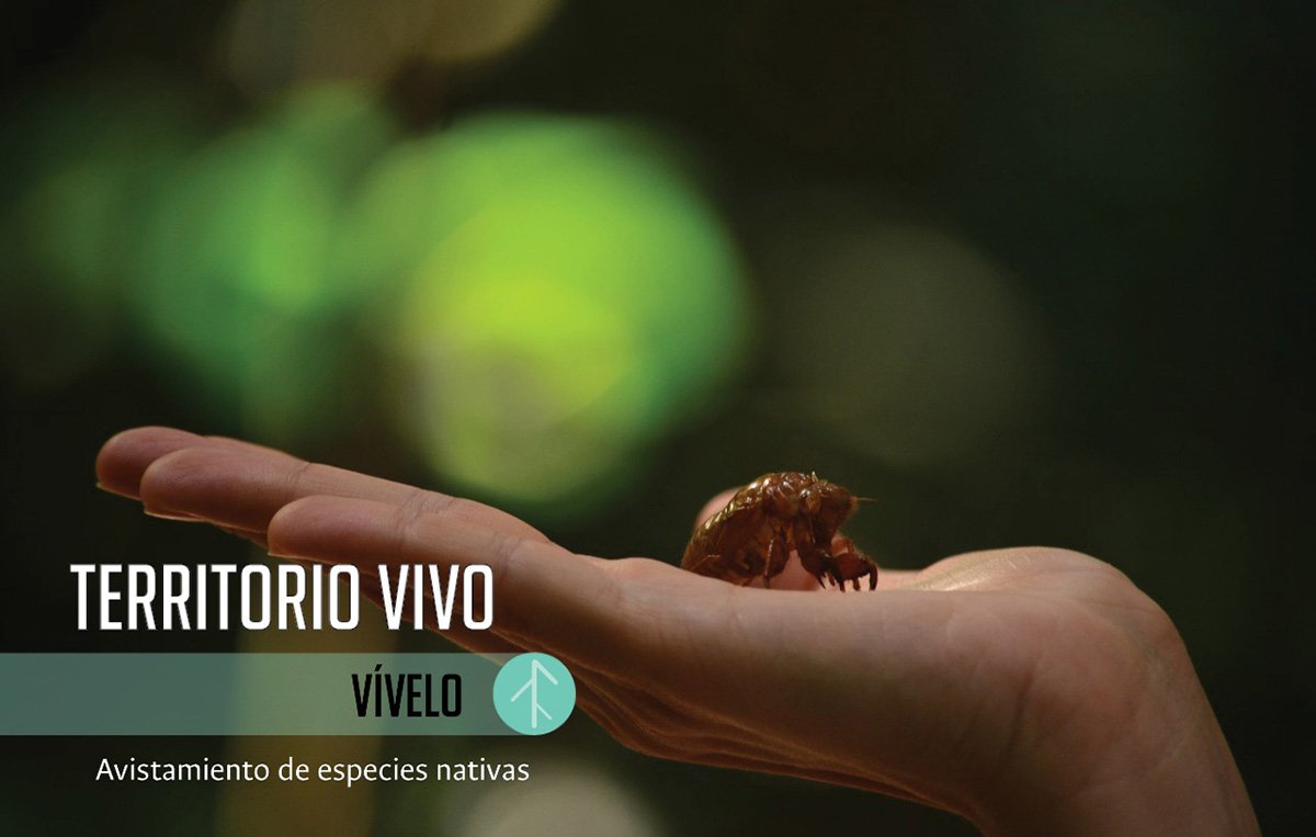 Investigación - Universidad Nacional de Colombia tweet media