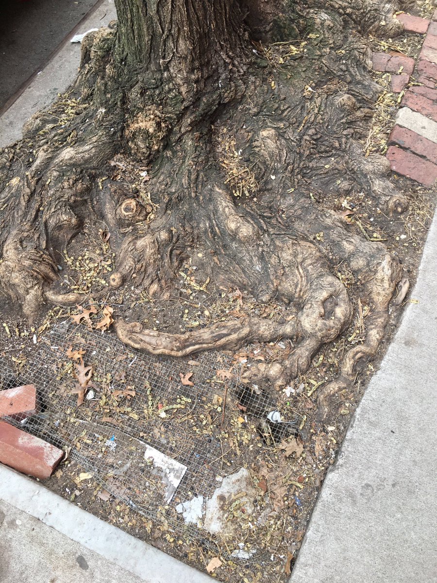 the "creeping horror" (note the rat hole that someone has tried to cover with chicken wire)