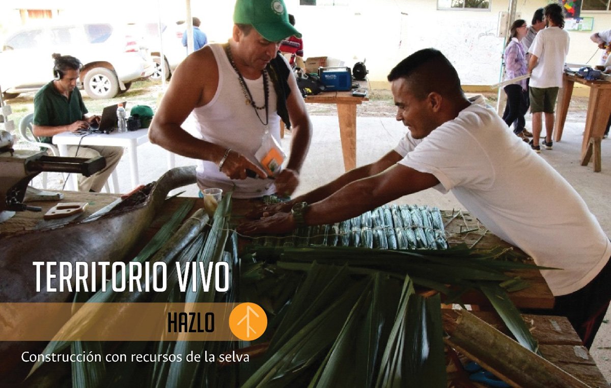 Investigación - Universidad Nacional de Colombia tweet media