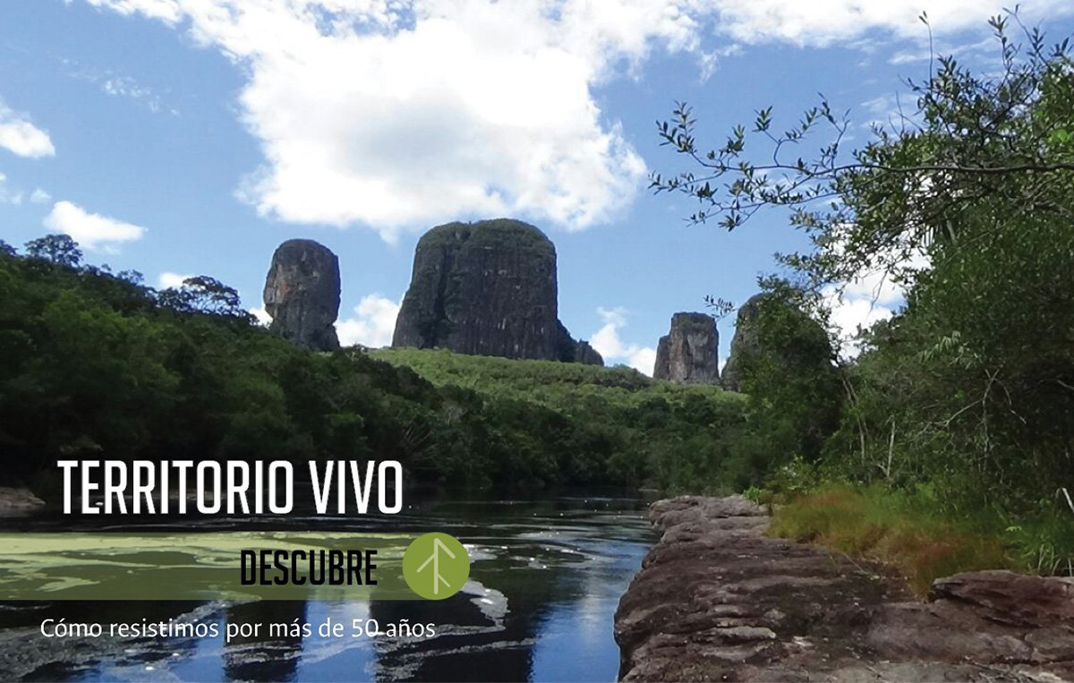 Investigación - Universidad Nacional de Colombia tweet media