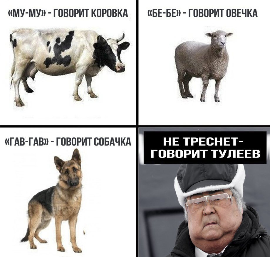 сохрани потом. сохрани потом. сохрани потом. хороший левша укрепляет брак. погода самп.