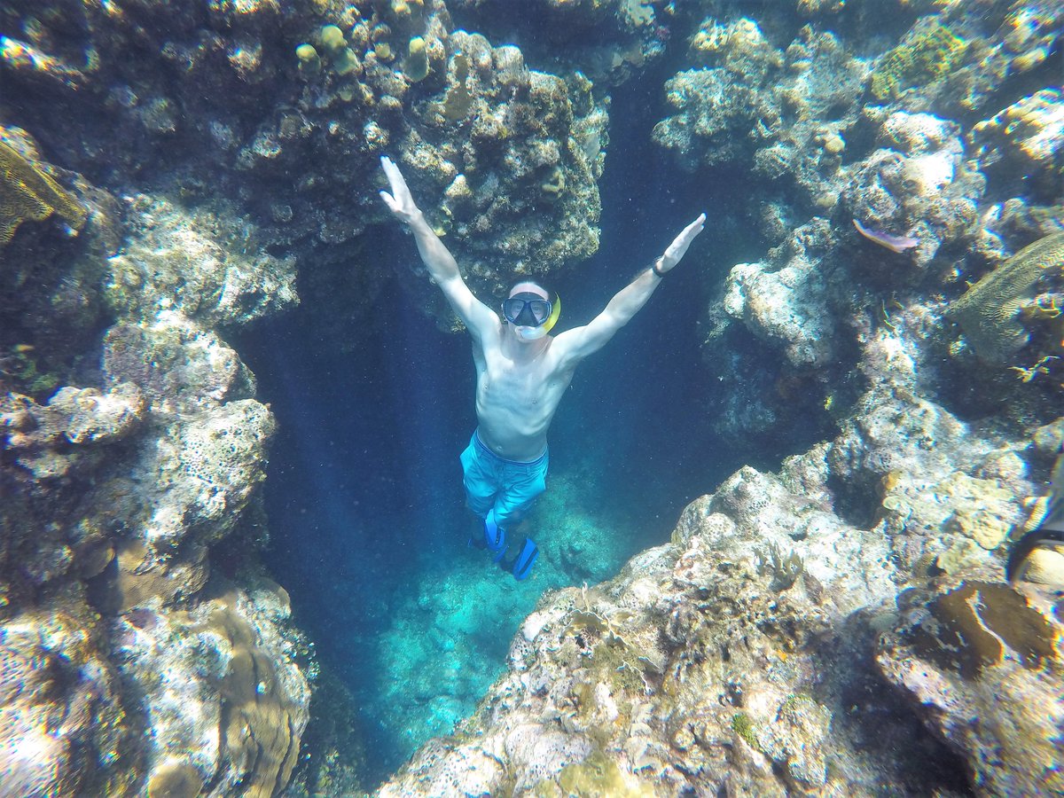 purehonduras's tweet photo. Honduras Tours. Freediving in Roatan! #roatan #honduras #tours #hondurastours #freediving #snorkel @RoatanComunica  @TeleRoatanCurla @USAIDHonduras   https://t.co/GXDzfnSXY2 https://t.co/vOczfiLwYS