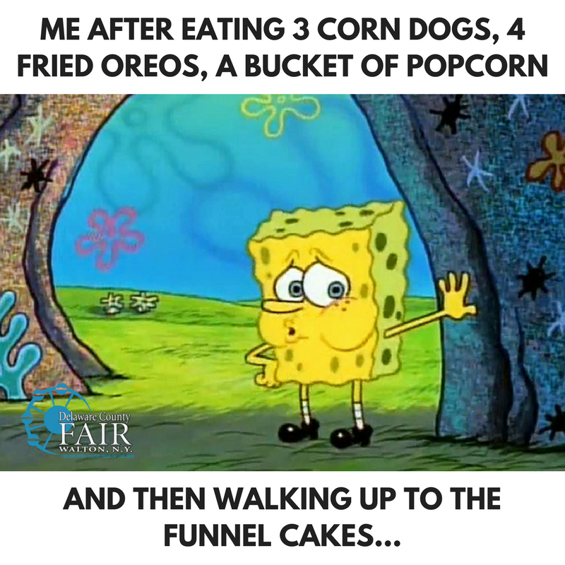 Delaware County Fair tweet media