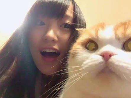sugaiminami0206's tweet photo. アイドルアカウント作ってみました！
ガチ勢です。フォローくれた方には必ずフォローします！
#菅井友香
#星野みなみ
#尾関梨香
#上村莉奈
#小池美波
#今泉佑唯
#渡邊理佐
#齋藤飛鳥
#堀未央奈
#欅坂46好きな人と繋がりたい 
#乃木坂46好きな人と繋がりたい
#坂道グループ
#バナナマン https://t.co/paSg64VBNU