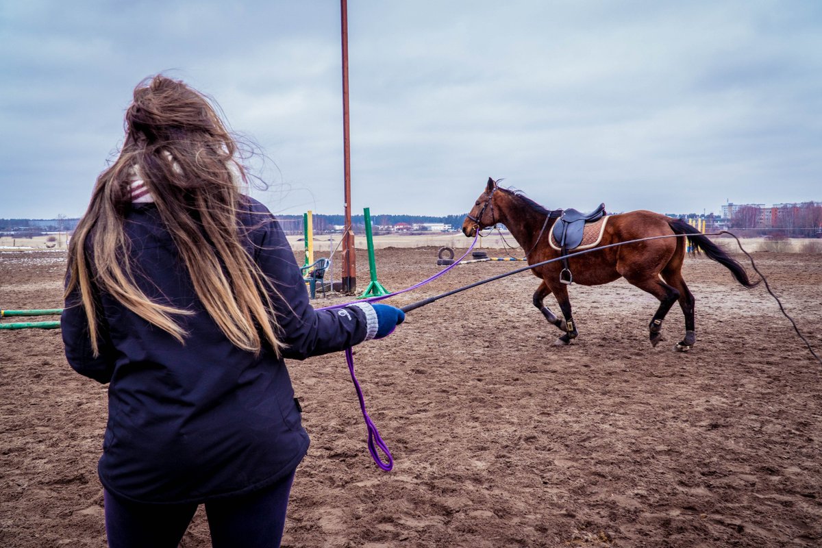 KatnKuk's tweet photo. New #equestrian video is out !
#horse #horses #horseback #horsebackriding #lunging #cavaletti #dressage #trot #animals #stable #Video
Watch @YouTube https://t.co/TXDBeG3eo2 https://t.co/d4Jvxn4eLb