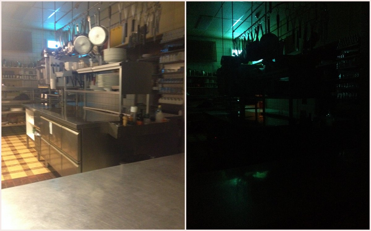 Nel Schellekens tweet media