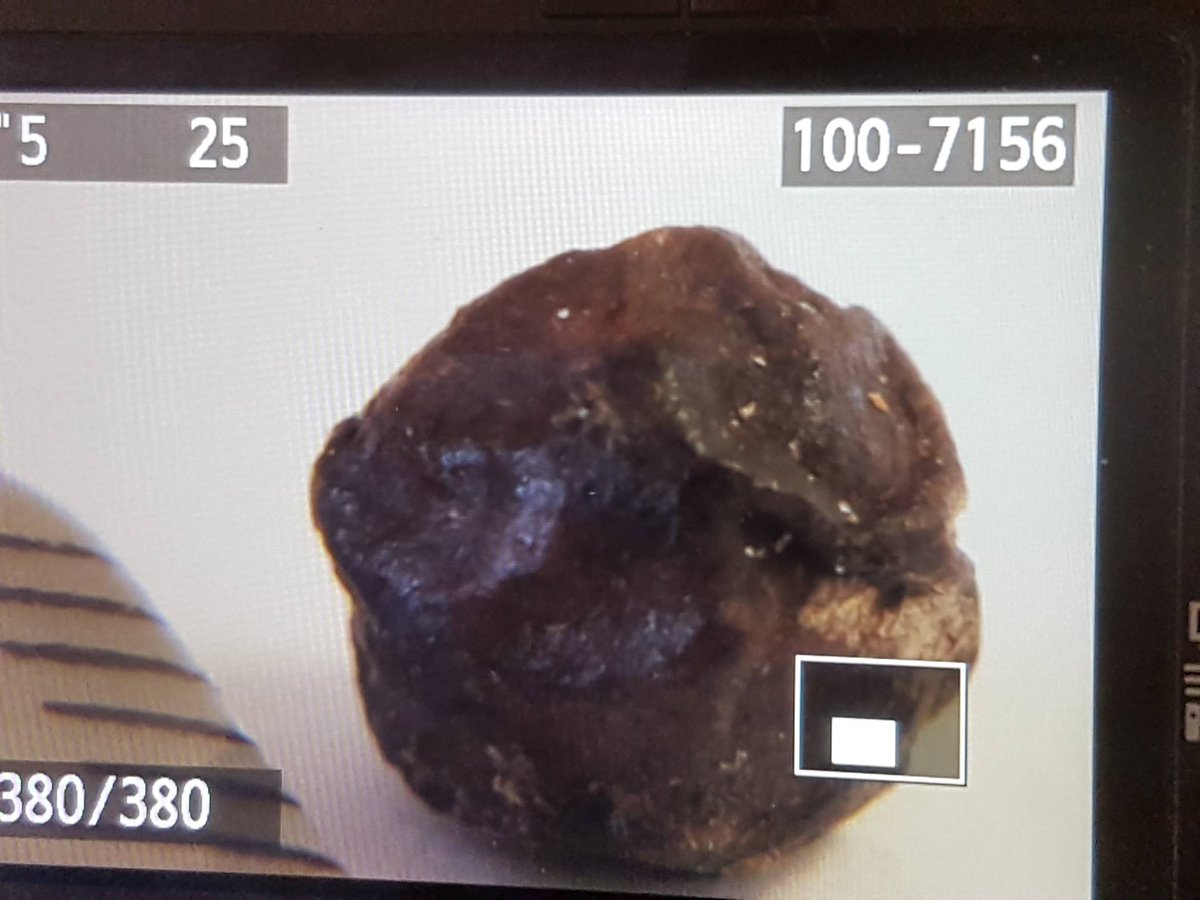 Duplicate3D's tweet image. No this is not a rock from out of space. Its a macro photo of a black pepper for 3D scanning.
.
#3d #3dprint #3dprinting #macro #3dscan #3dscanning #geometry #alien #pepper #art #artist  #photography #photogrammetry #space #technology #sculpture #food #beautiful