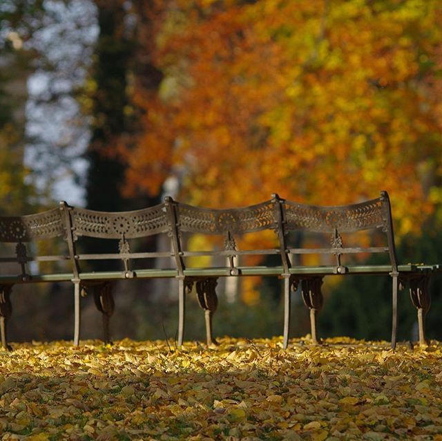 benchmarkn7's tweet photo. WHAT IS YOUR FAVORITE PART OF TODAY? @benchmarkn7 #benchmarkn #today #monday #benches #happy #motivation #smile #fitness #fitnessmotivation #fitnessfreaks #fitnessmodel #travel #roadtrip #trip #travelling #travelblogger #traveller #makersmovement #me #da… https://t.co/JCatffSUEI https://t.co/4k0zugqCKN
