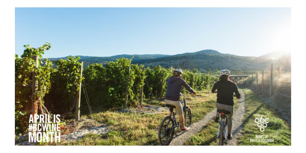 Tourism_Kelowna's tweet image. Weekend goals in celebration of #BCWineMonth MT @winebcdotcom: DYK? A number of BC wineries are offering activities and events for #BCWineMonth. Here is our guide to help get you started with planning! ow.ly/iukj30jbBKT 
#ExploreBCWine #BCWine #BCVQA