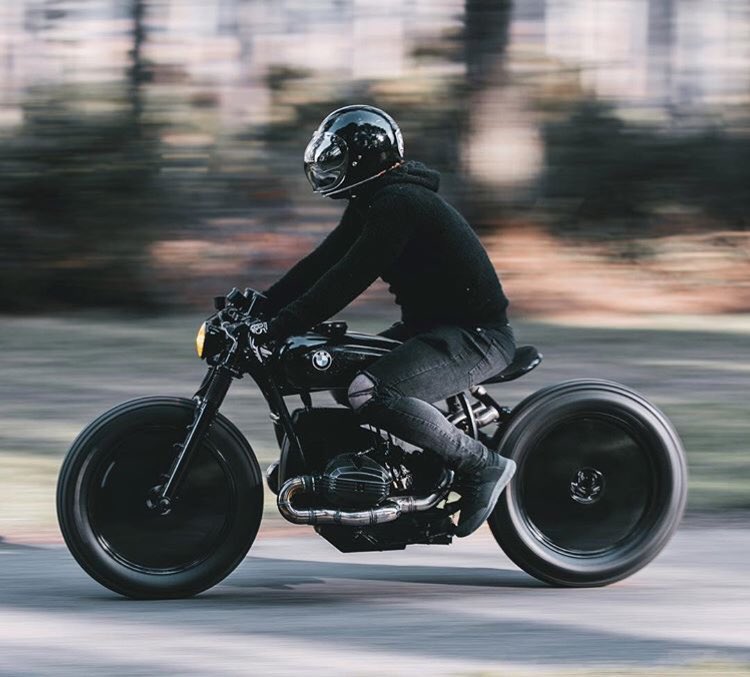 Rolling Rogues tweet media